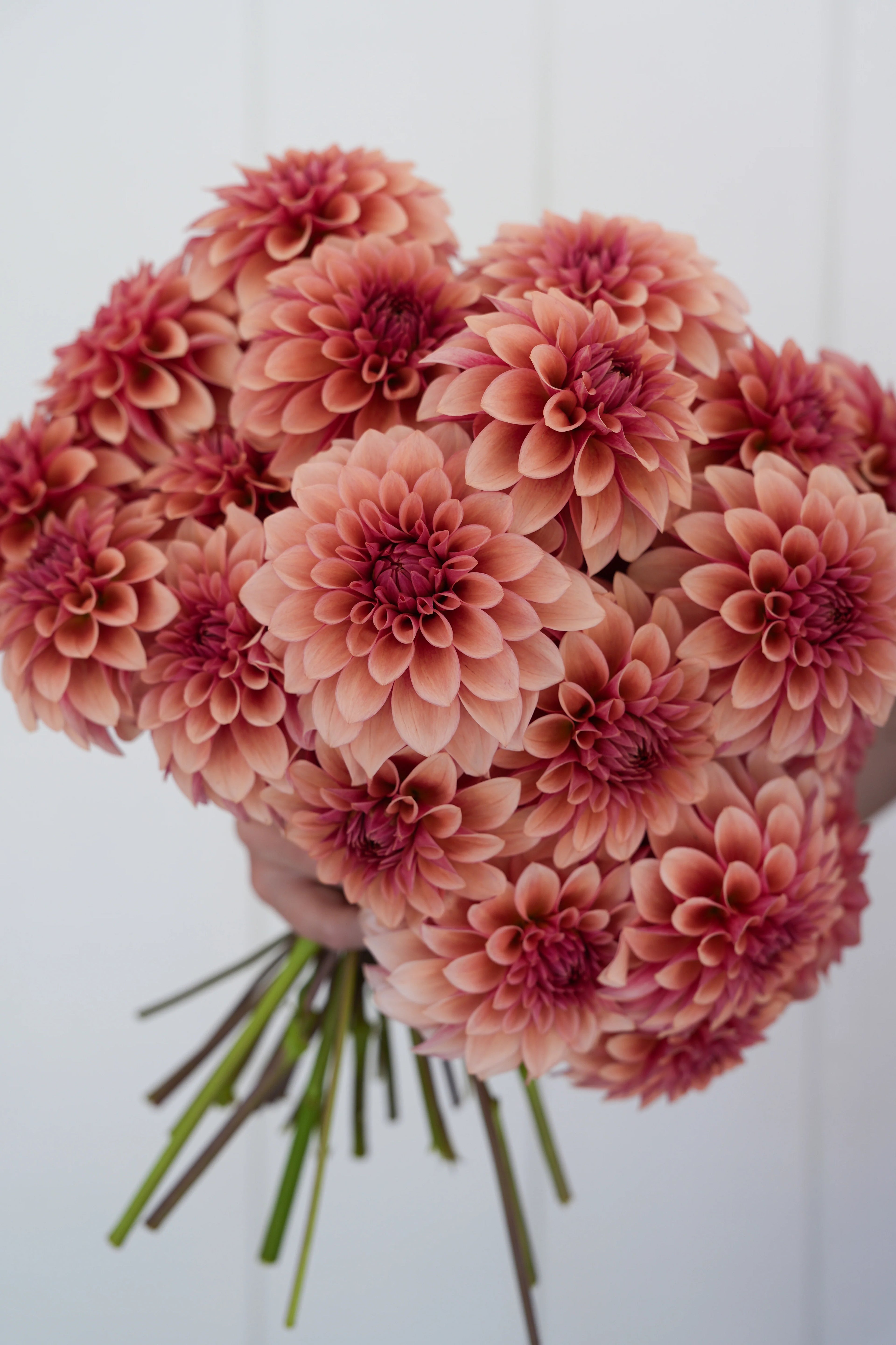 RM Rose Gold